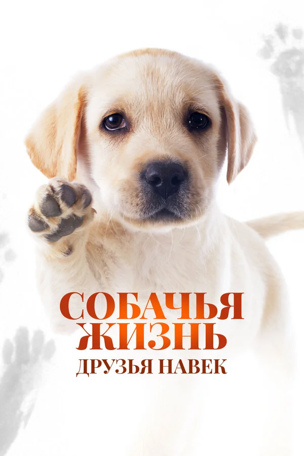 Собачья жизнь: Друзья навек - постер фильма